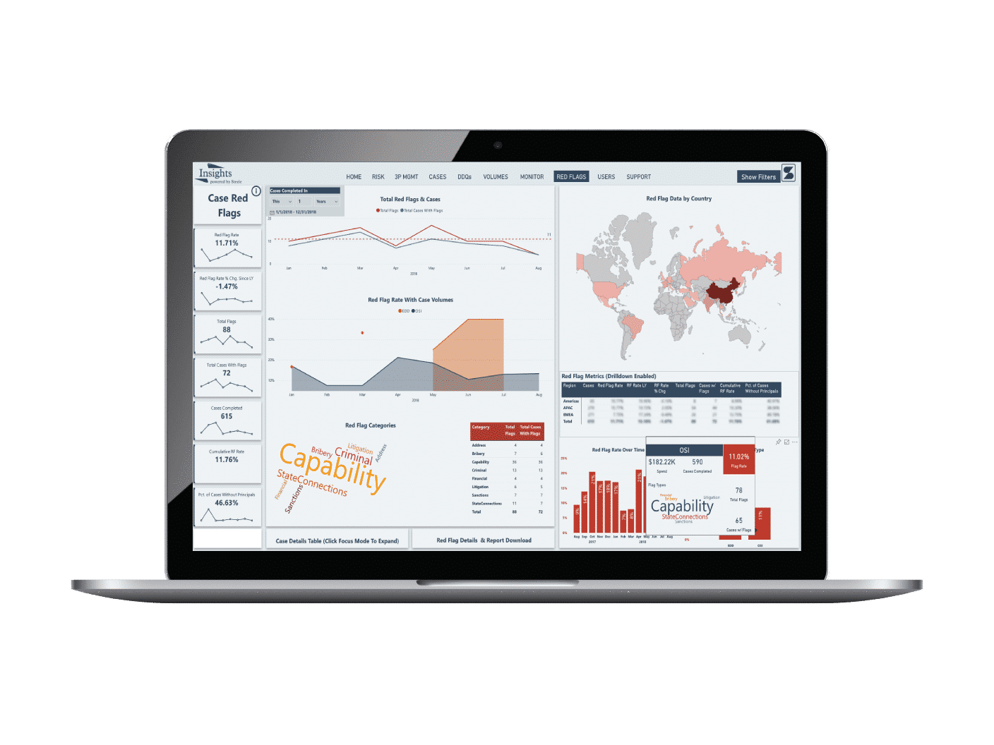 Case-Red-Flags-Laptop with Business Insights