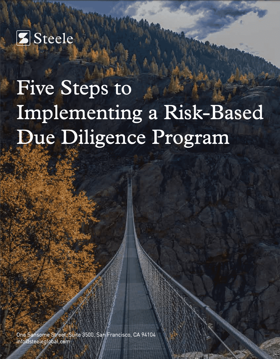 5 Steps to Implementing a RiskBased Due Diligence Program Steele Global